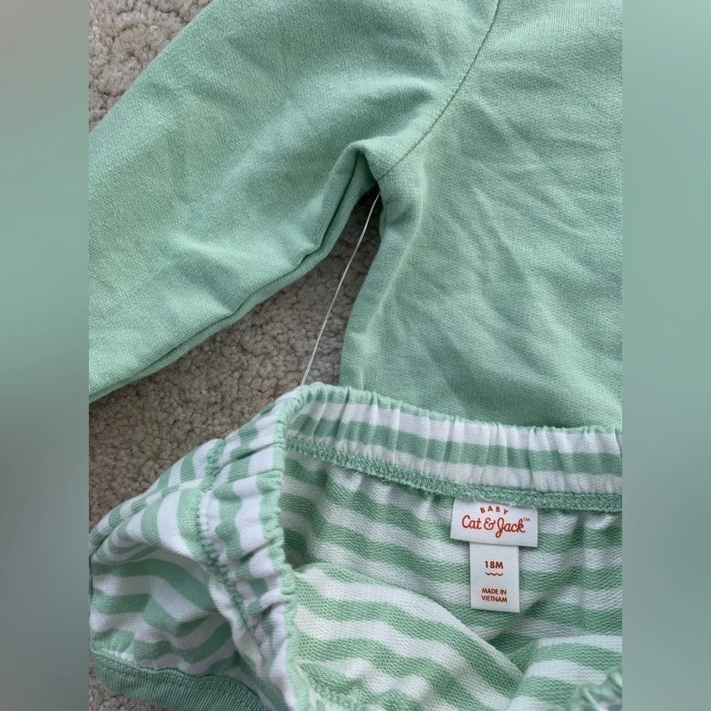 Cat & Jack NWT Size 18 Months Snail Sweatshirt Set